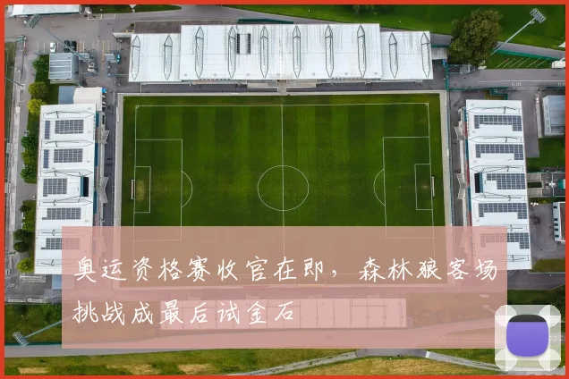 奥运资格赛收官在即，森林狼客场挑战成最后试金石