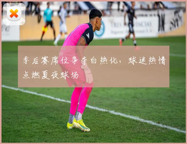 季后赛席位争夺白热化，球迷热情点燃夏夜球场