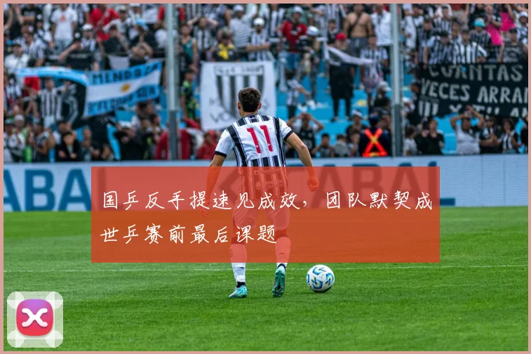 国乒反手提速见成效，团队默契成世乒赛前最后课题